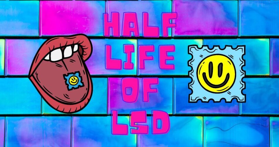 half life of lsd