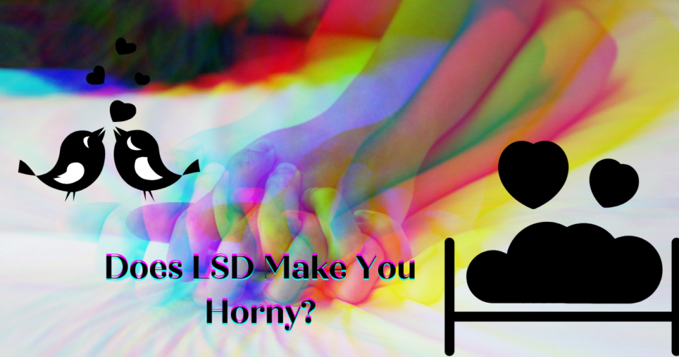Does LSD Make You Horny