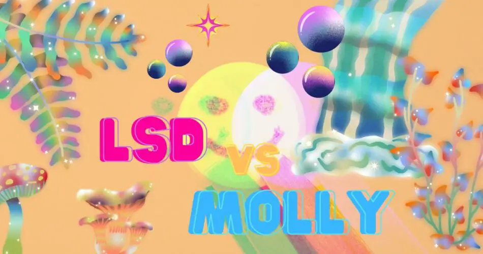 Molly vs LSD Comparison of the Effects of LSD and MDMA