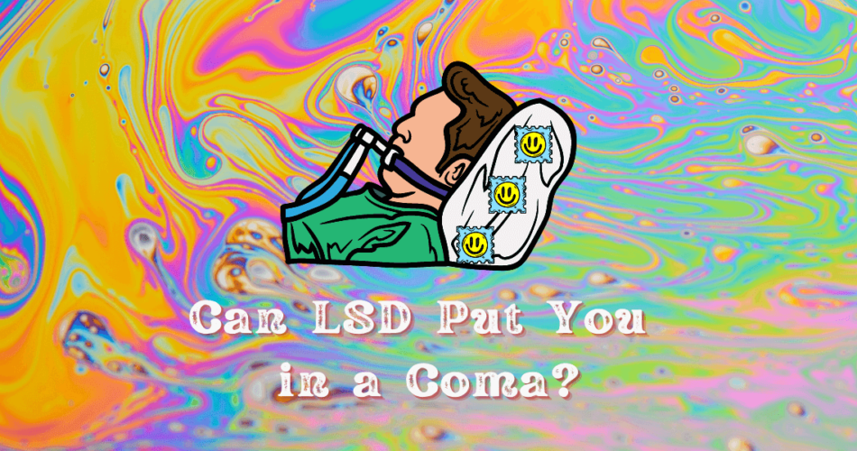 can lsd put you in a coma
