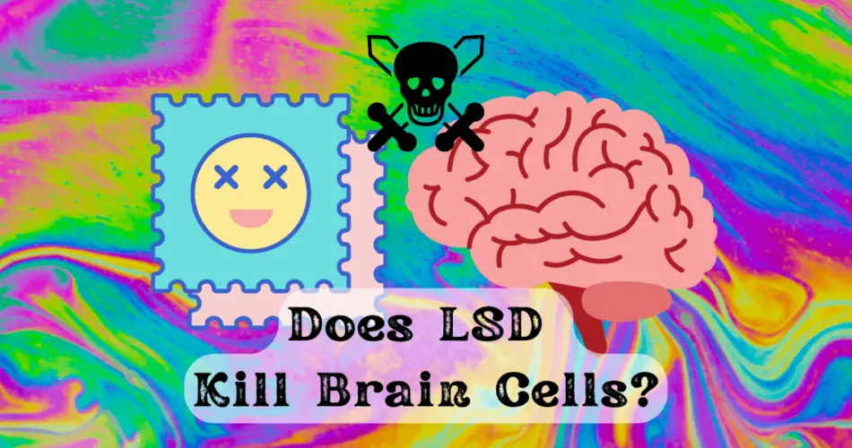 does lsd kill brain cells
