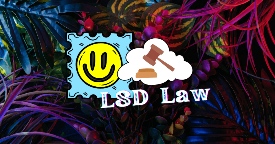 lsd law