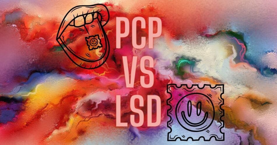 pcp vs lsd