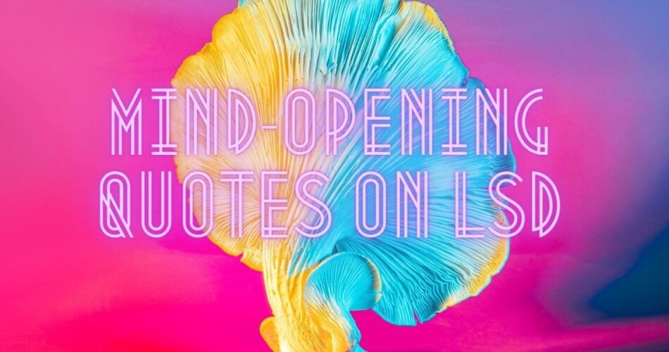 quotes on lsd