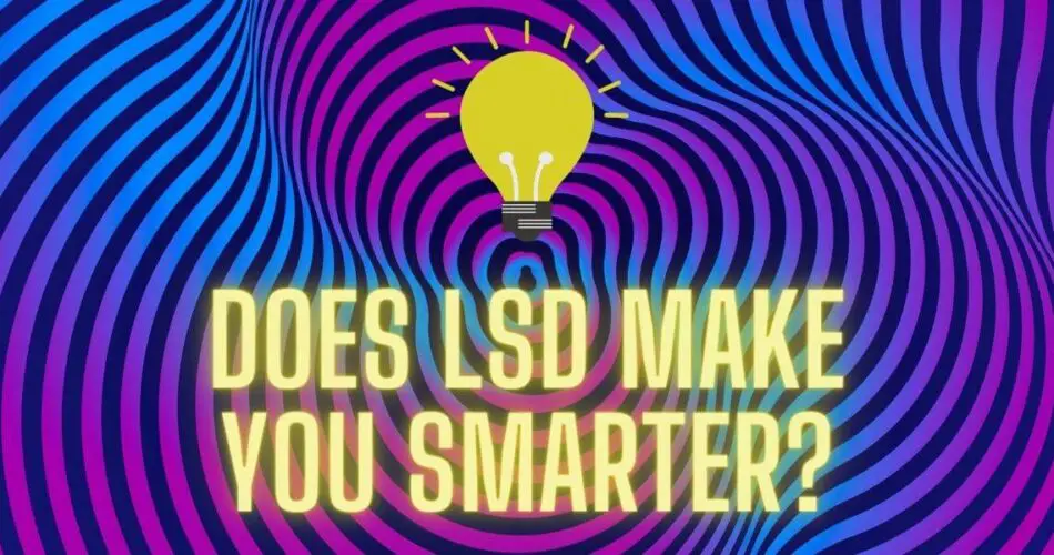 does lsd make you smarter