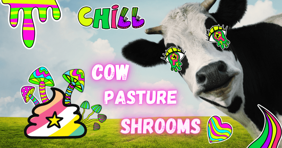 cow pasture hallucinogenic mushrooms
