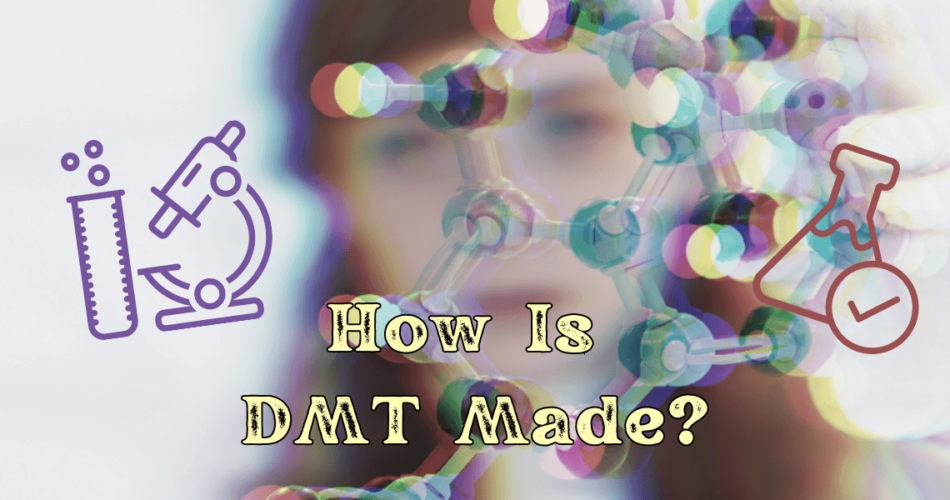 how is dmt made