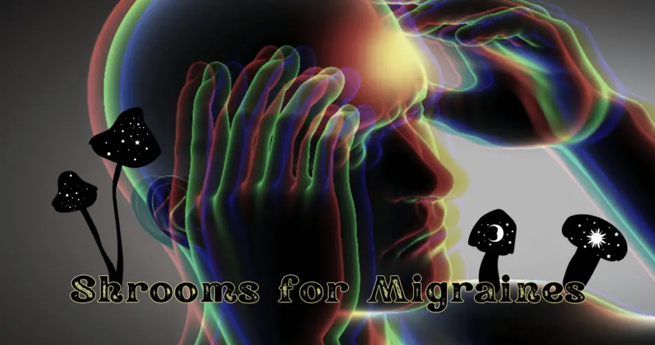 how to microdose mushrooms for migraines