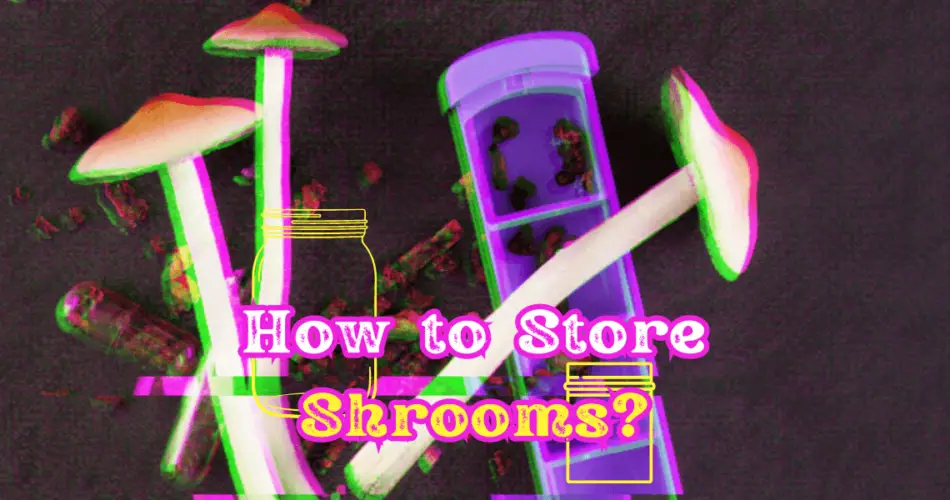 how to store shrooms