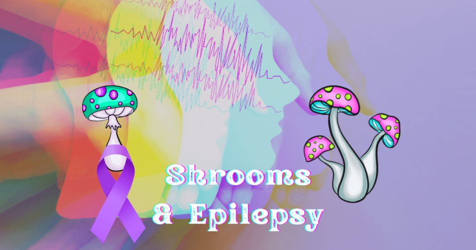 shrooms and epilepsy