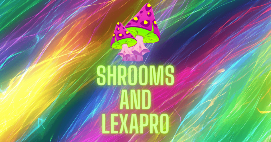 shrooms and lexapro