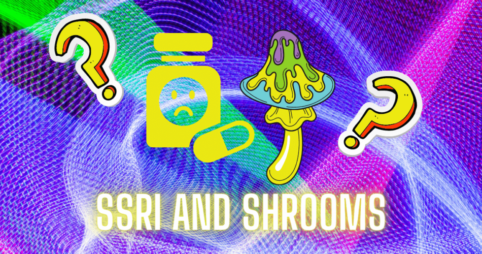 ssri and shrooms