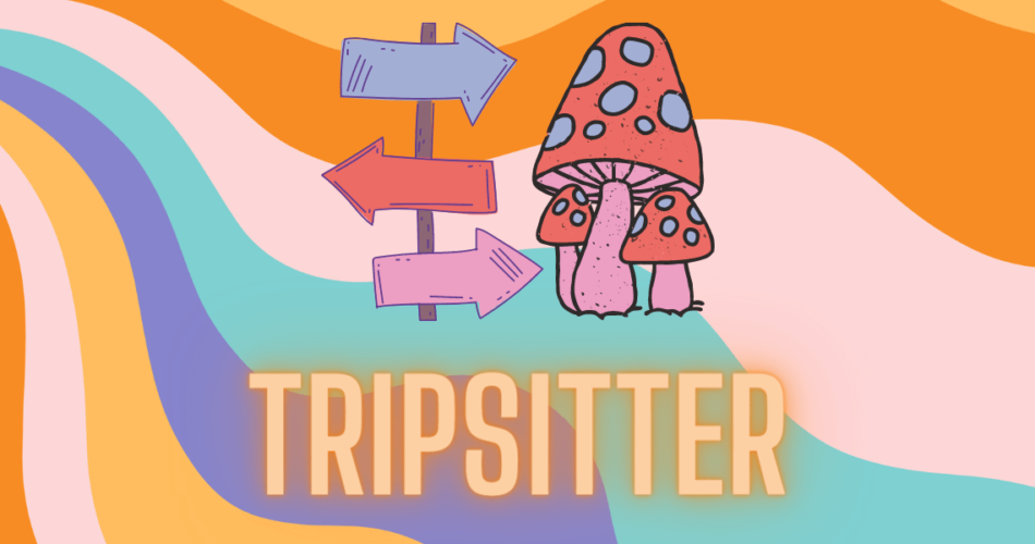 tripsitter