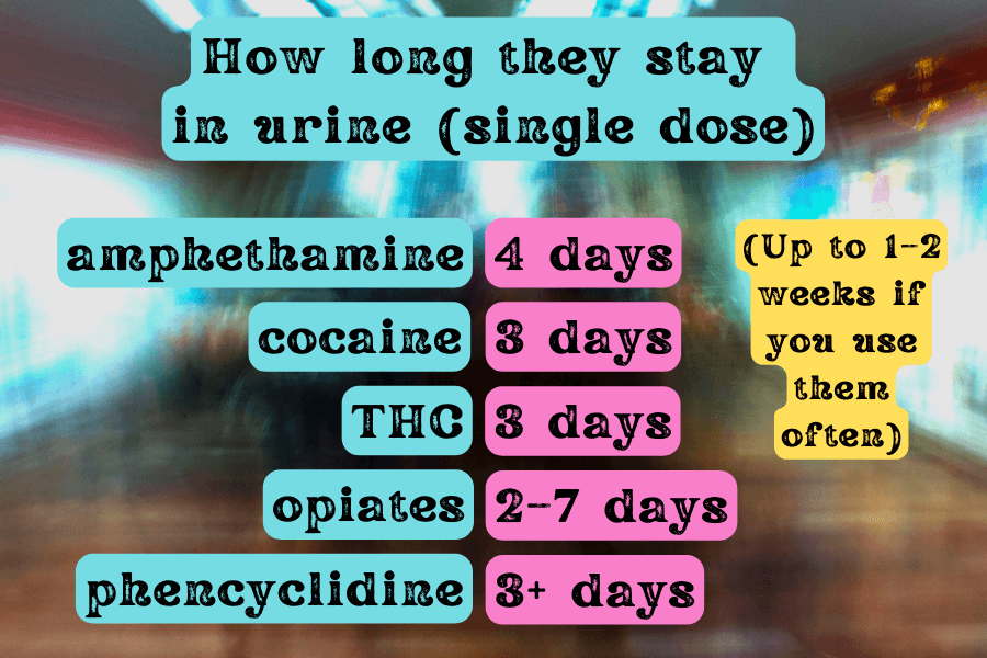How long they stay in urine (single dose)
amphethamine – 4 days
cocaine – 3 days
THC – 3 days
opiates – 2–7 days
phencyclidine – 3+ days
(Everything is detectable up to 1–2 wekks if you use it often)
