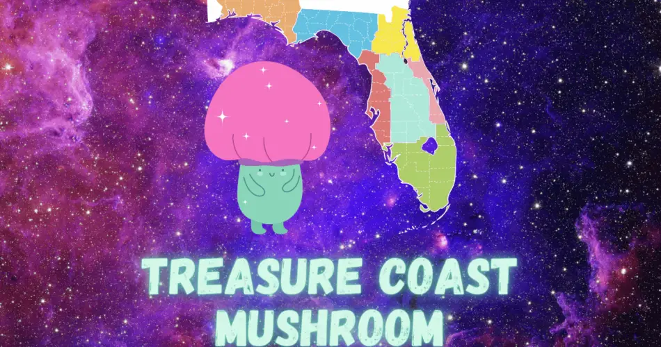 treasure coast mushroom