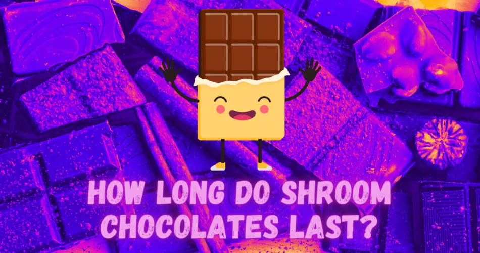 how long do shroom chocolates last