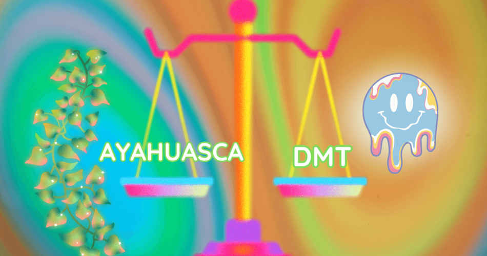 ayahuasca vs dmt