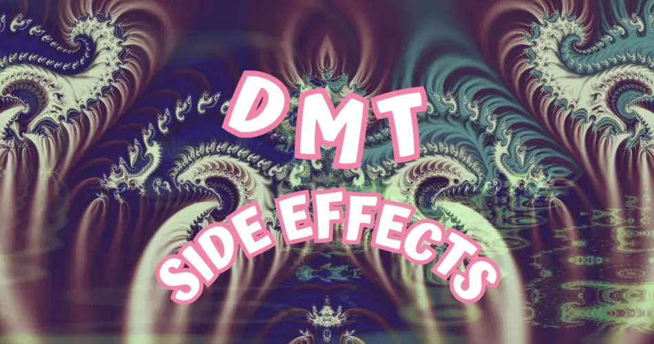 dmt side effects