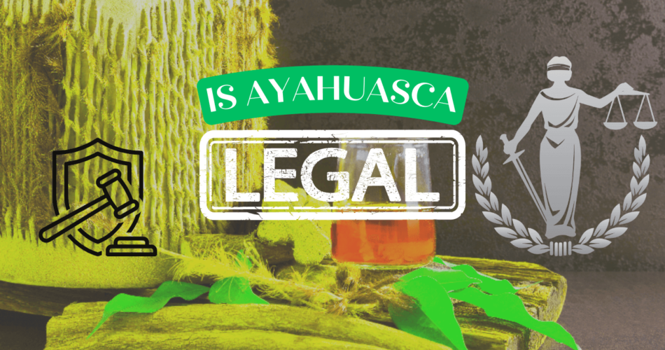 is ayahuasca legal