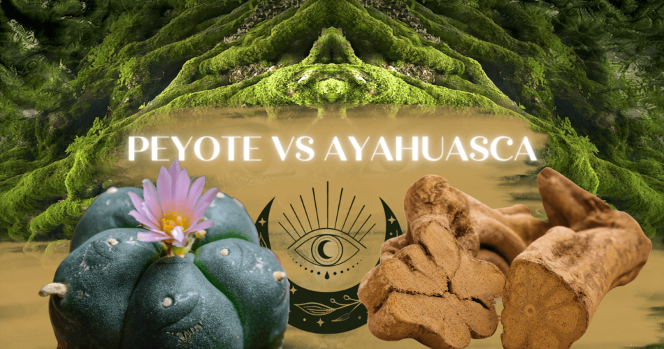 peyote vs ayahuasca