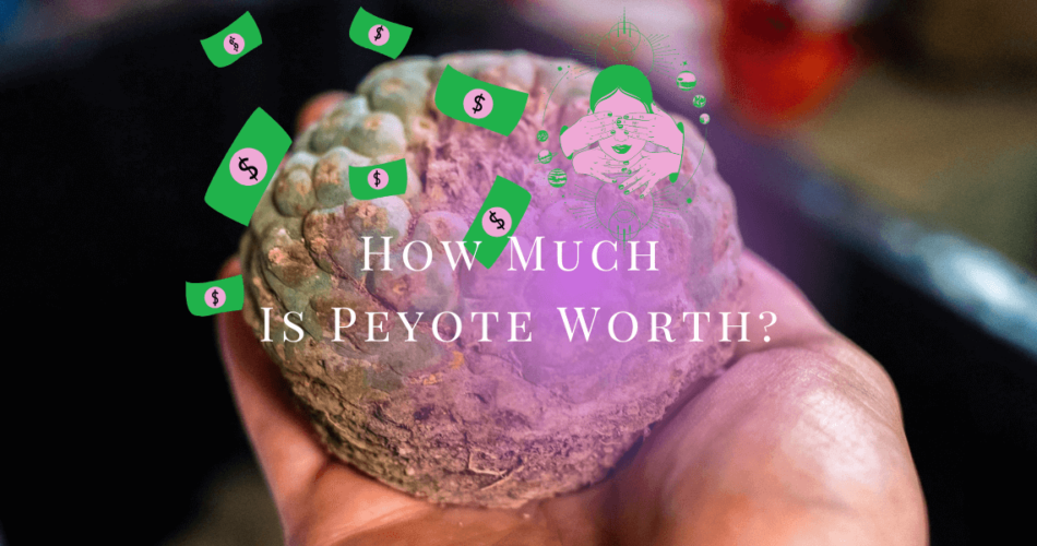 how much is peyote worth