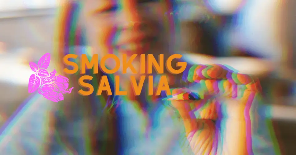 smoking salvia
